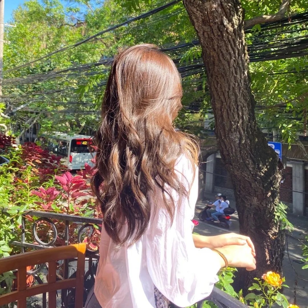 森林里的熊先生冬眠中