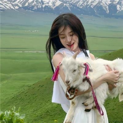 木兰之巾帼英豪